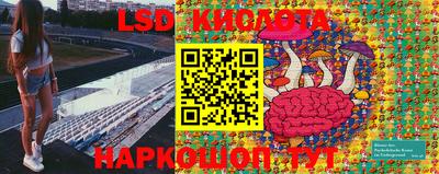 дурь Камышлов