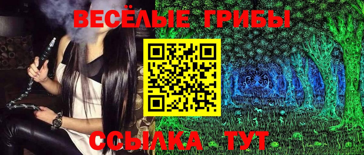 Псилоцибиновые грибы Psilocybe Избербаш